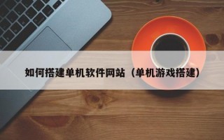 当阳如何搭建单机软件网站（单机游戏搭建）